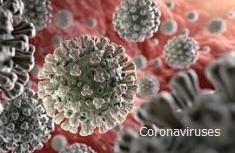 Coronaviruses causes epidemics.