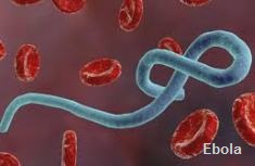 Ebola - a global problem.