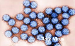 Rotavirus causes epidemics.