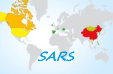 SARS Pandemic - a global problem.