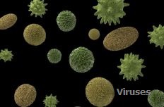 Viruses causes outbreaks.