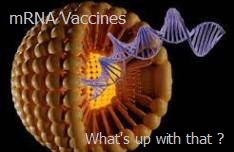 mRNA Vaccines causes outbreaks.